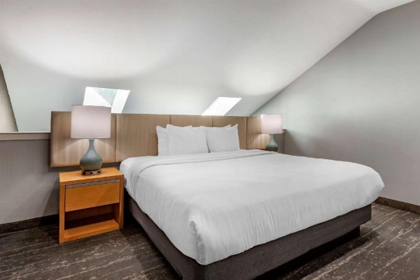 Somerset Lofts image 13