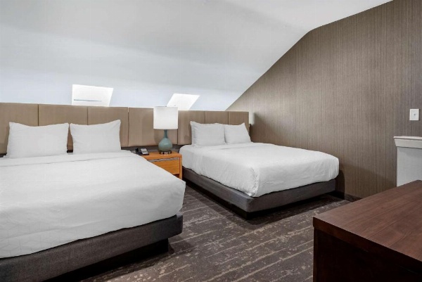 Somerset Lofts image 16