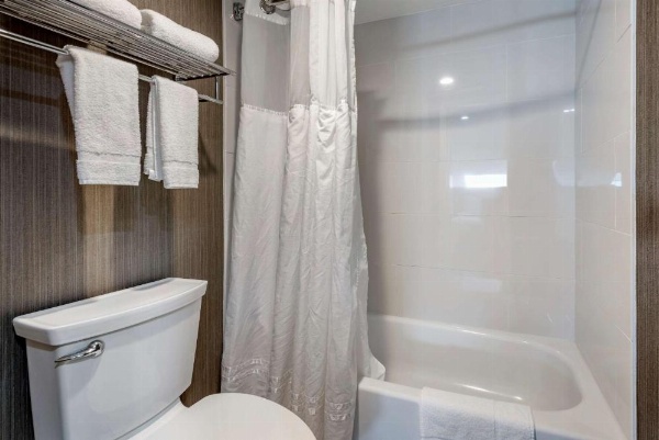 Somerset Lofts image 19